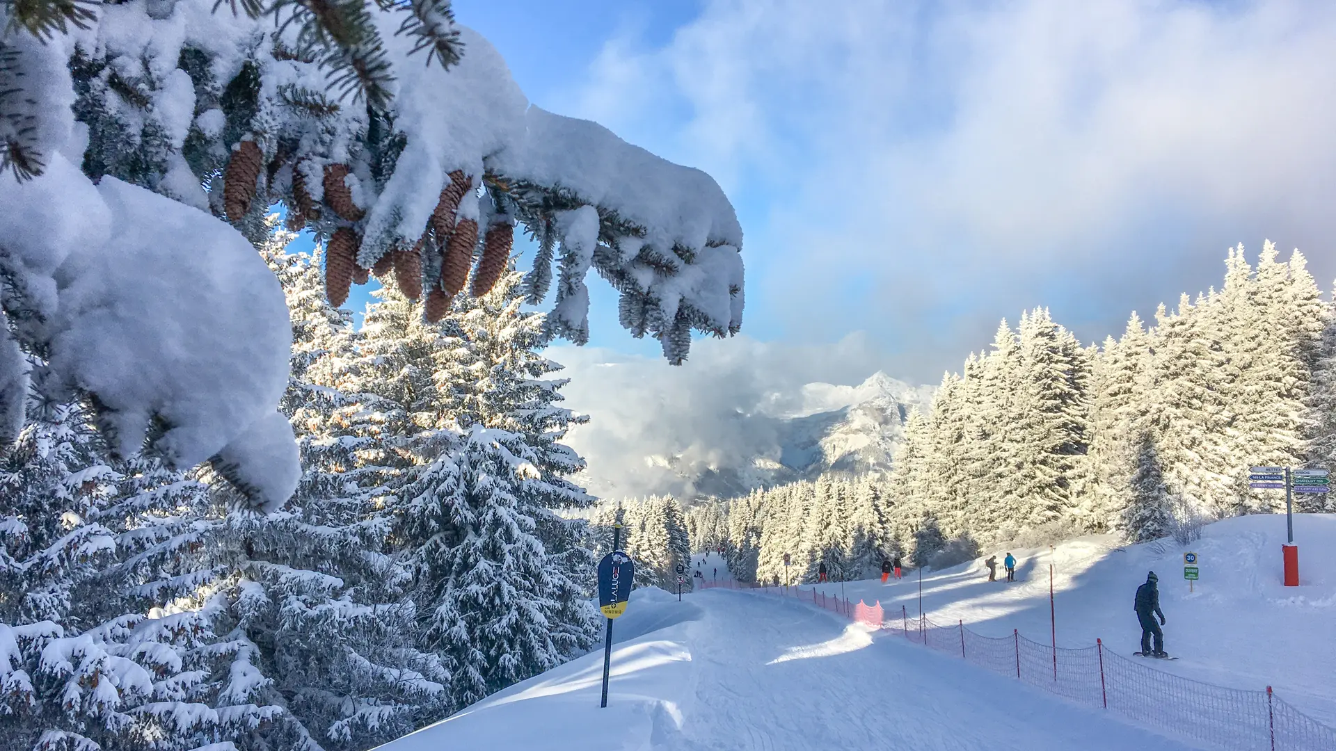 Vue sur la piste