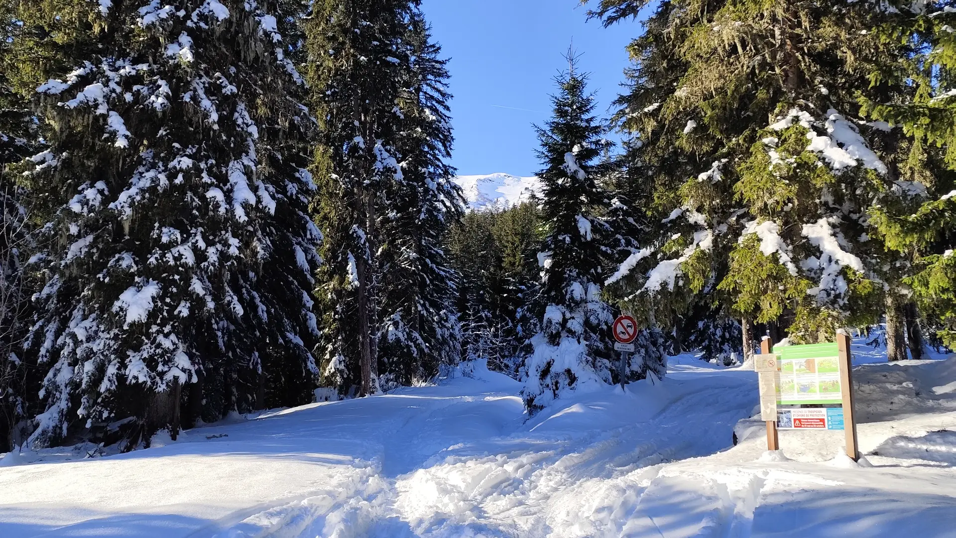 Arrivée aux Plaines