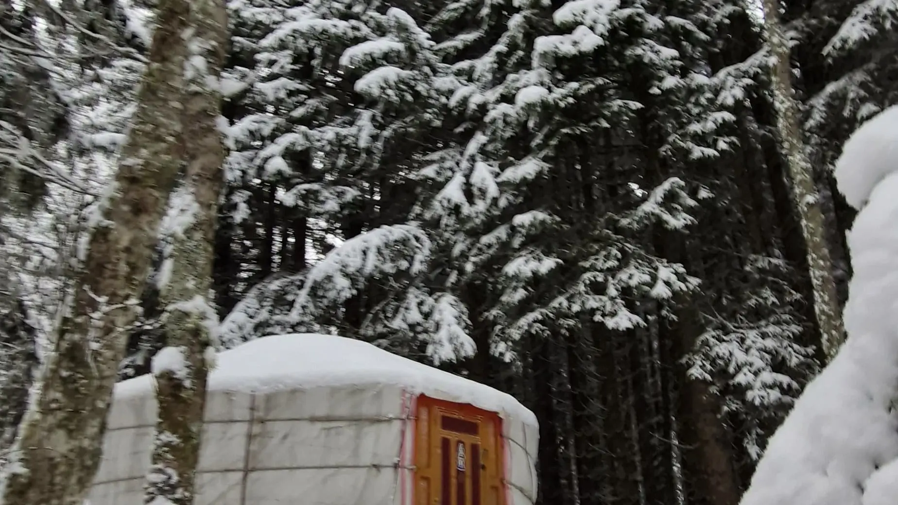 Yourte sous la neige dans la forêt