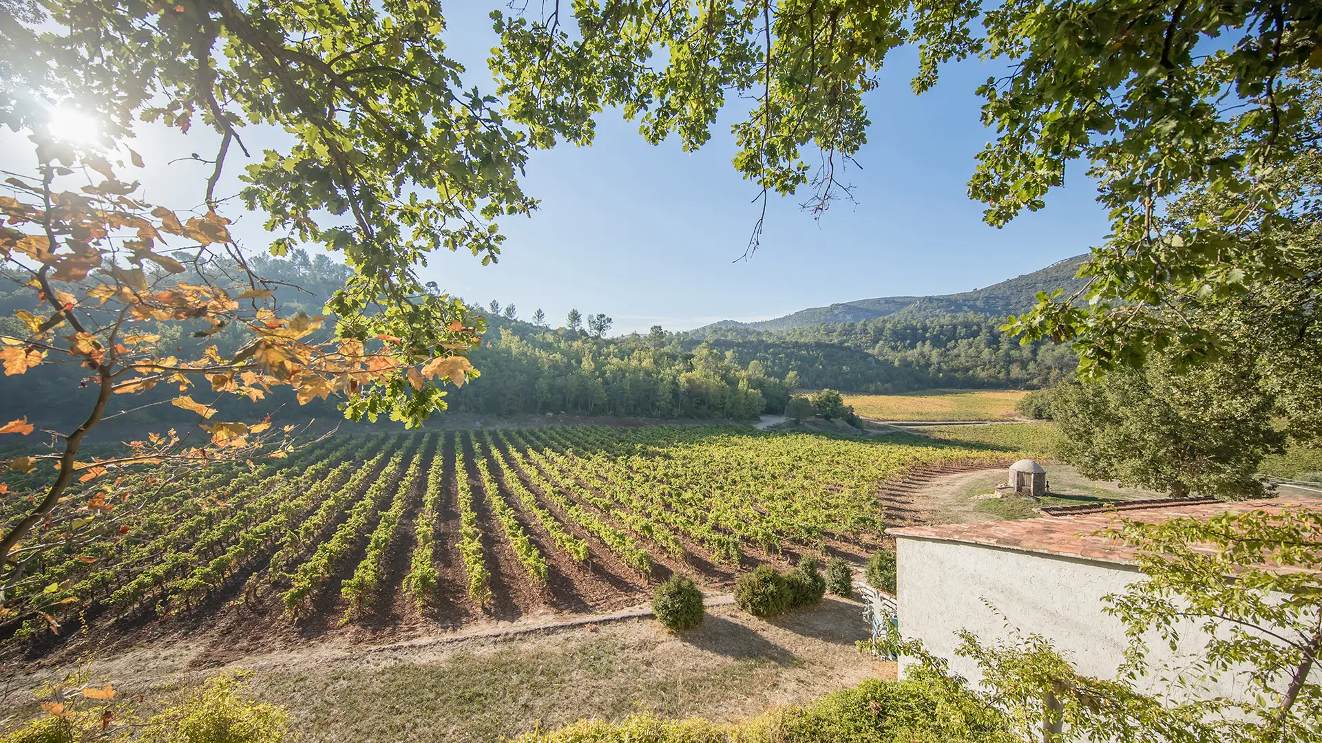 chateau de cancerilles