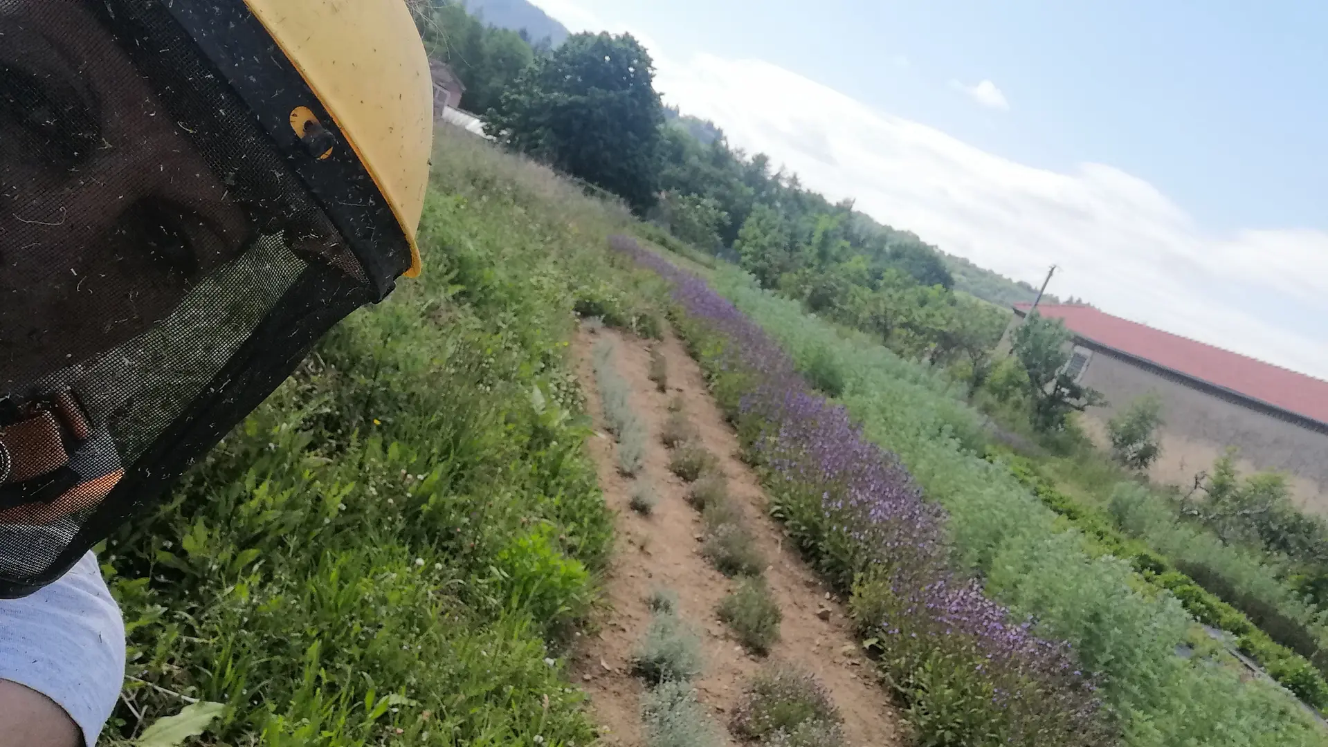 Productrices et cueilleuses « Bien dans leurs racines ! »