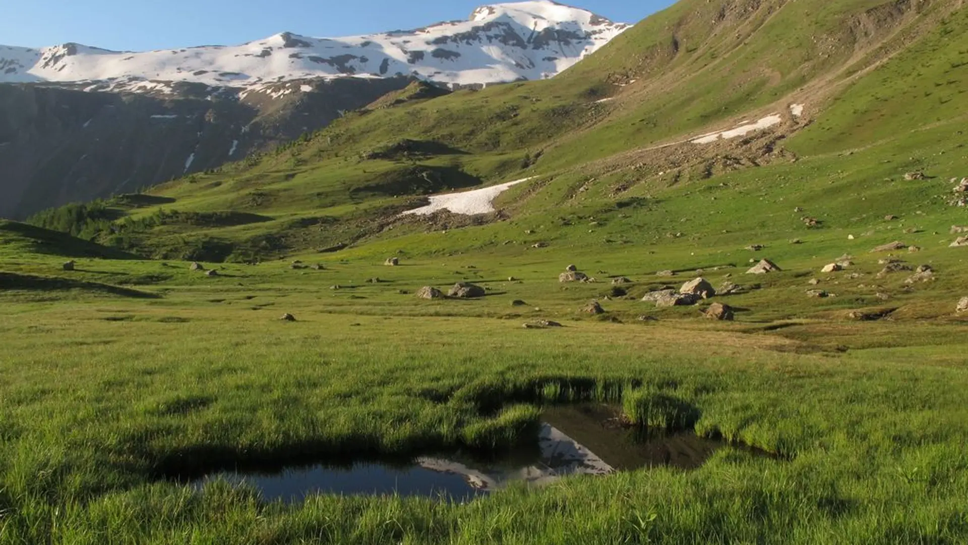 Alpage au Saut du Laire