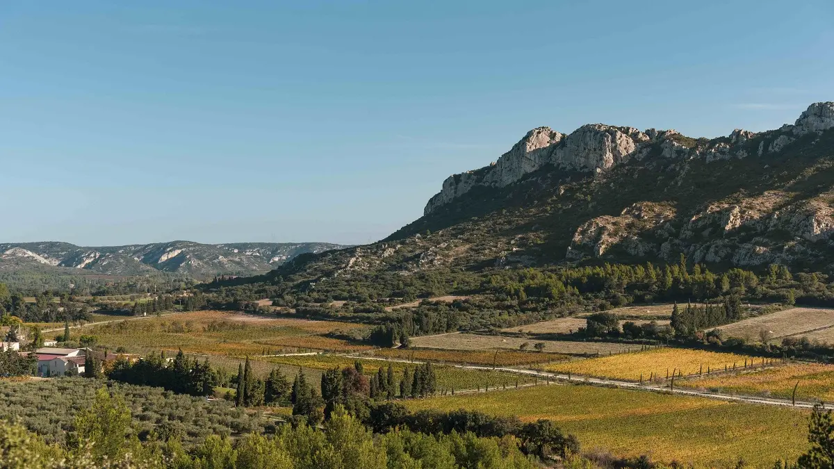 Domaine Vallon des Glauges