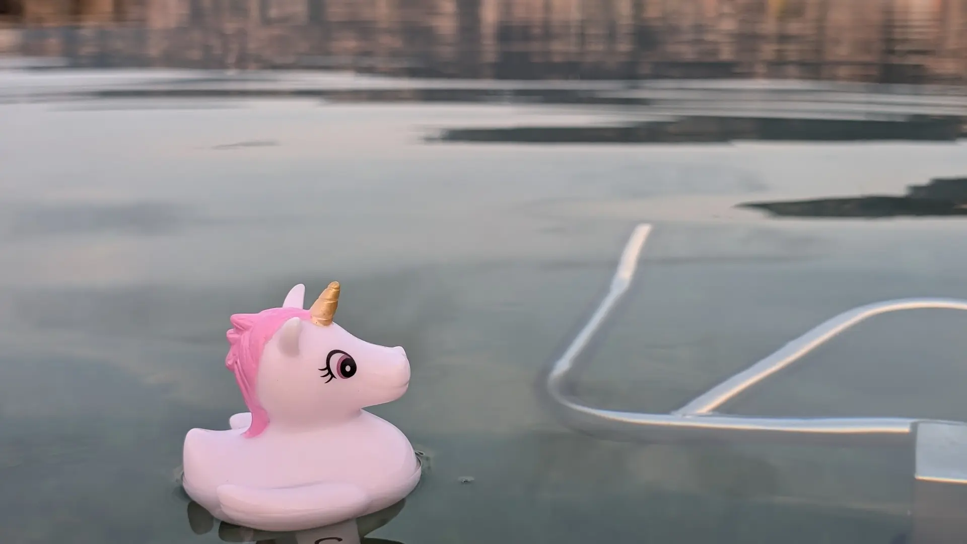 Plage des Marinières, Tôt le matin