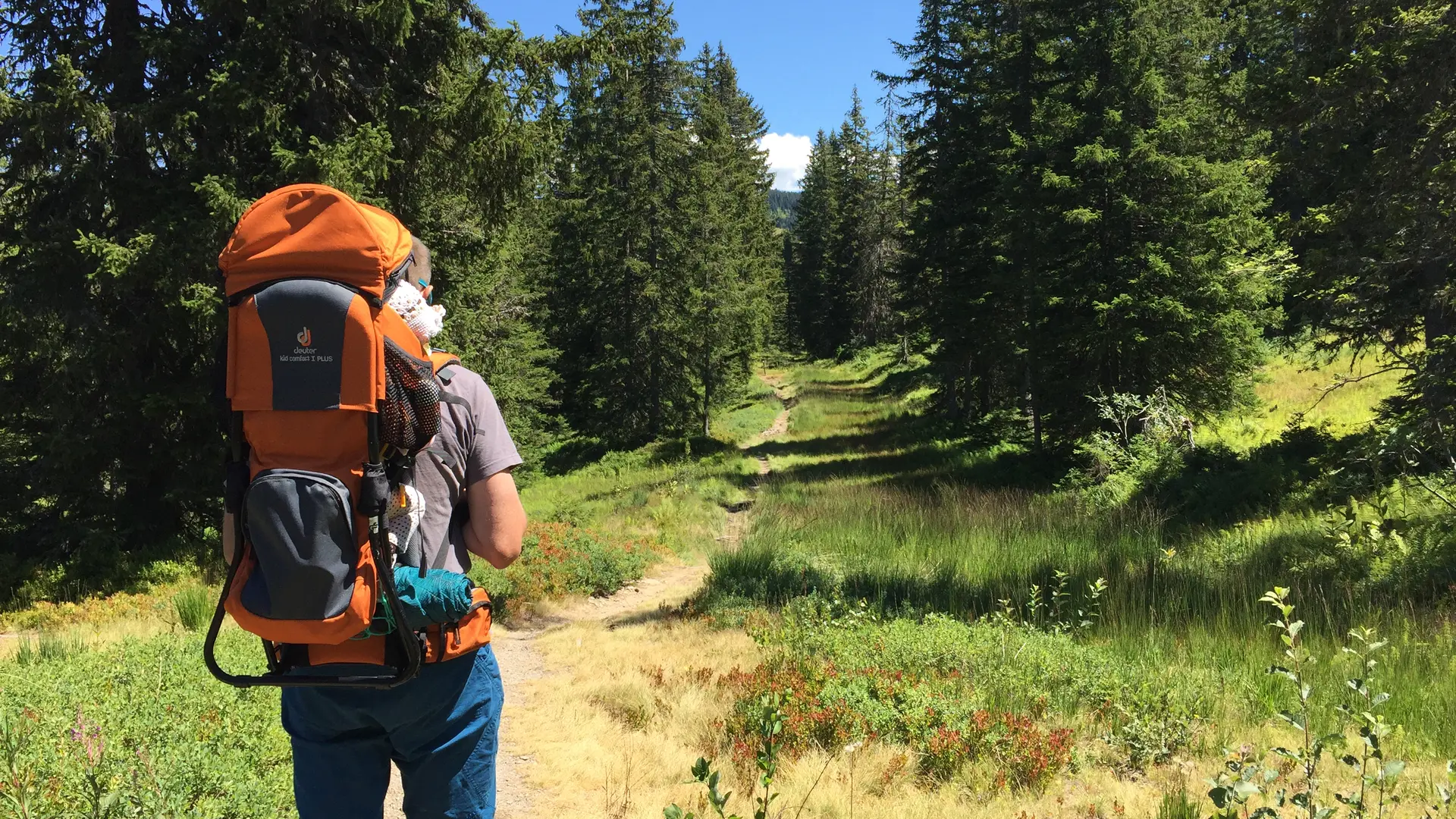 Sentier des Arpelières avec porte bébé