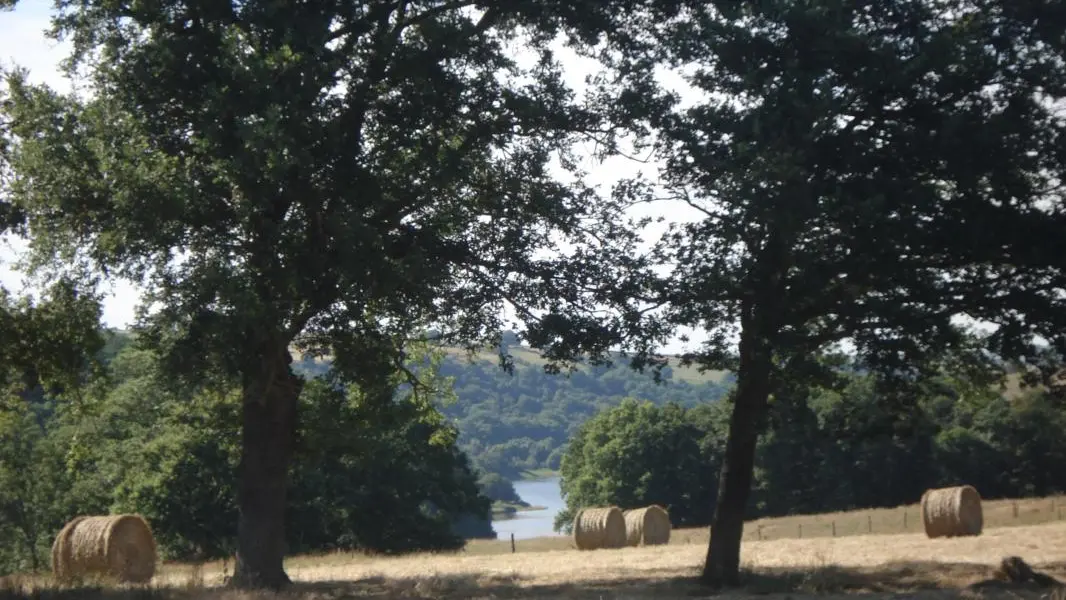 vue sur la Loire
