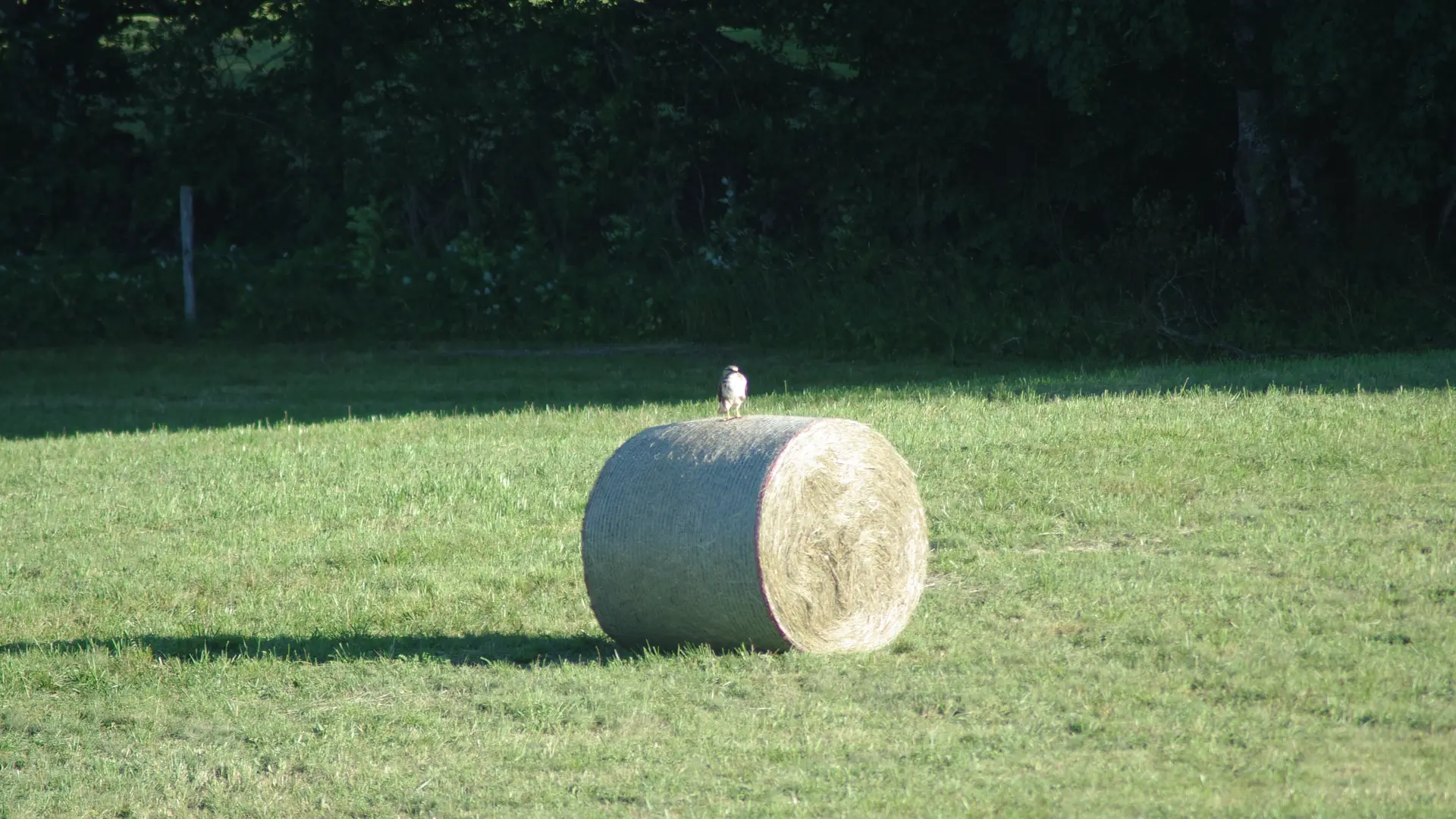 La Ferme des Taillis