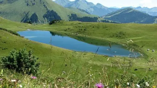 Le lac de Roy