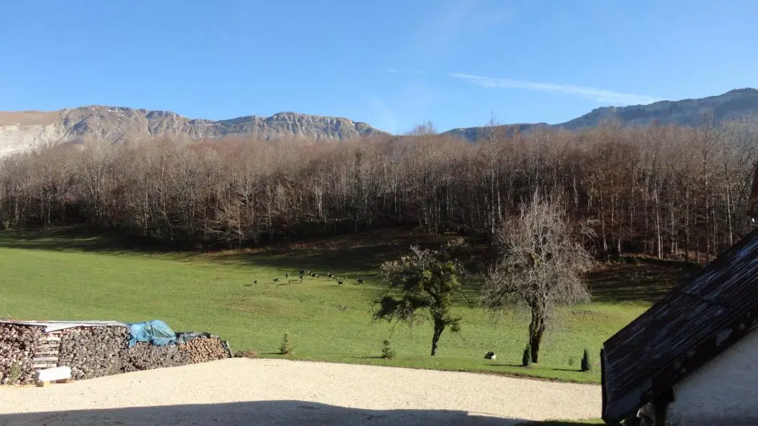 La clairière aux chamois vue depuis le gîte