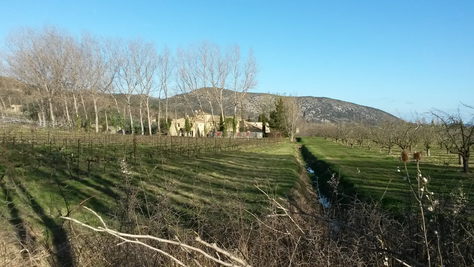 Vue sur les vignes