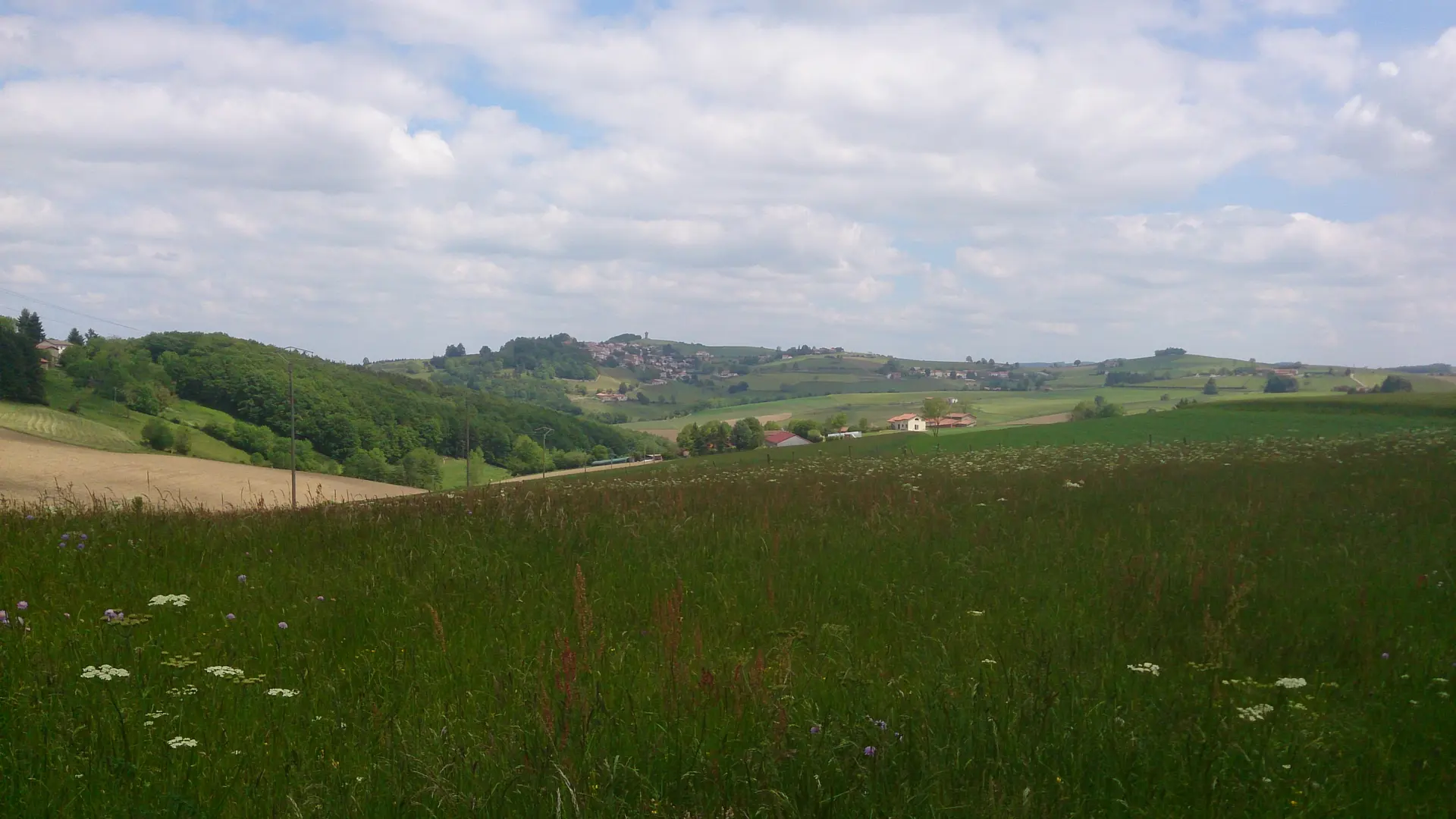 Circuit du Grand Bois