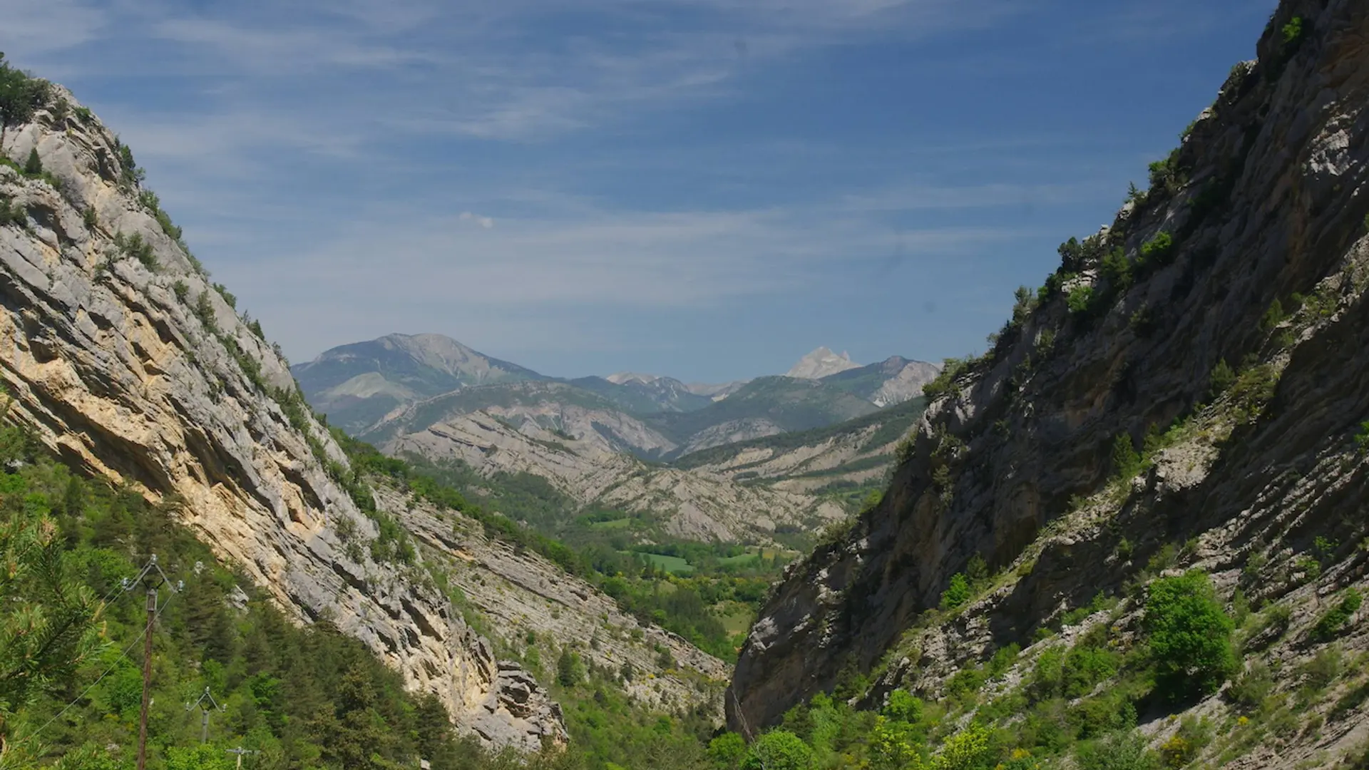 La clue du Gouravour