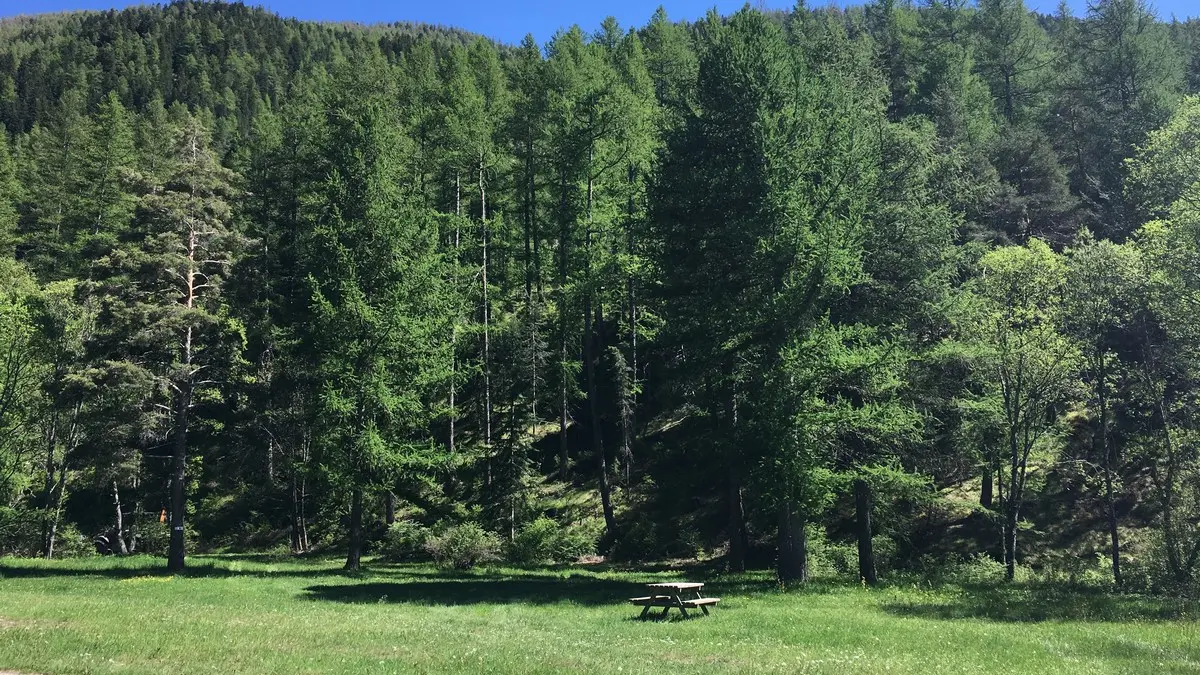 Intérieur camping en été