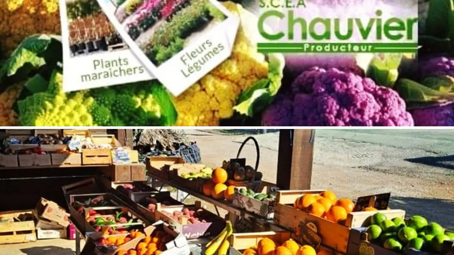 Fruits- Légumes