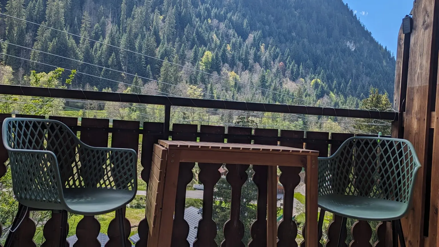 Vue depuis le balcon - 3 pièces - Les Chevreuils 2