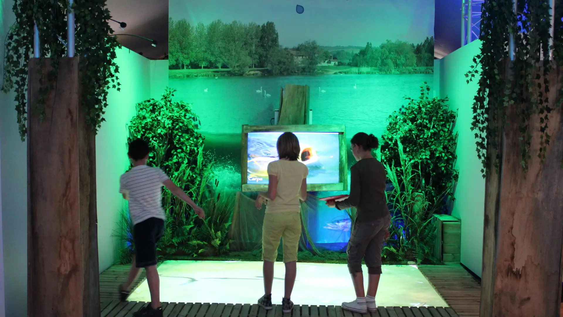 Mare interactive