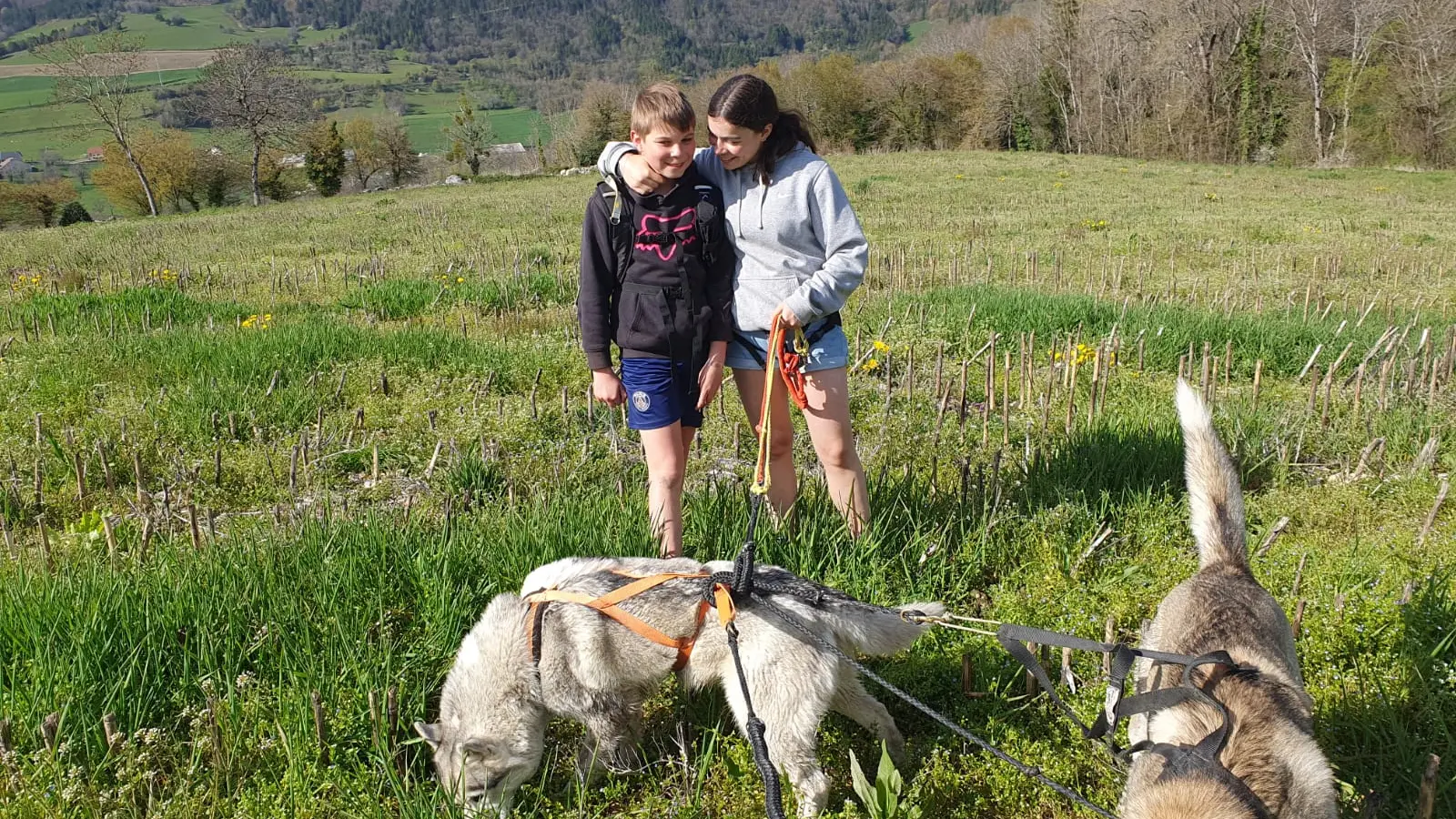 Balade tractée par les chiens avec Lisa Plaza