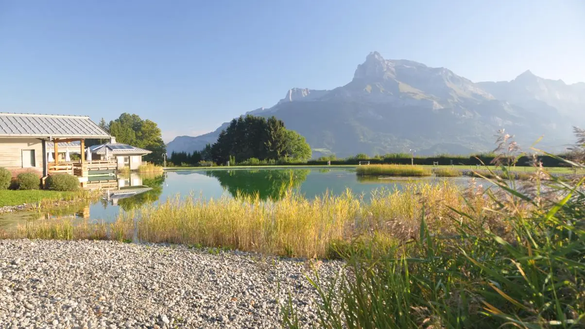 Lac biotope (piscine naturelle) à deux pas du chalet