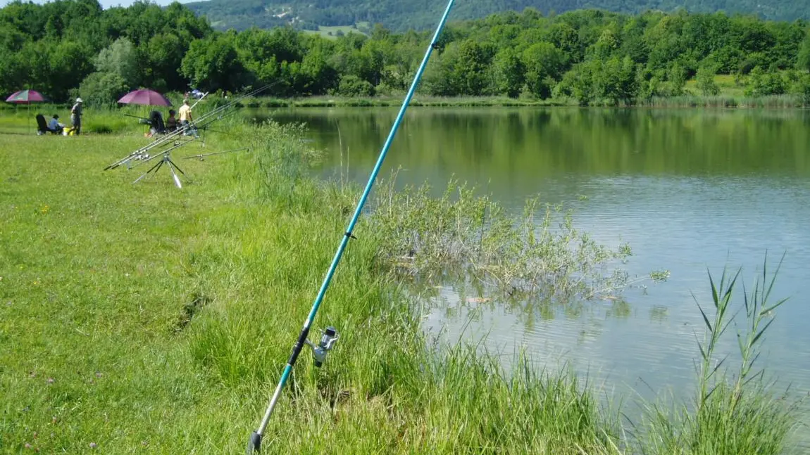 Site de pêche du lac des Alliettes à Songieu