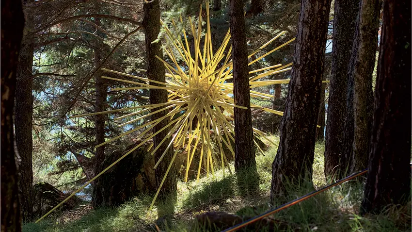 Le parcours des arts à l'arboretum