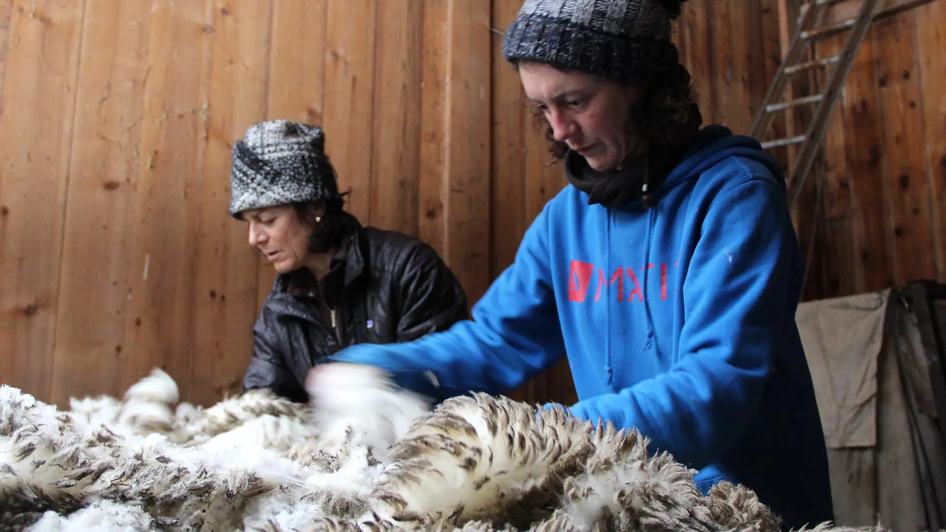 Laine d'ici et d'à côté