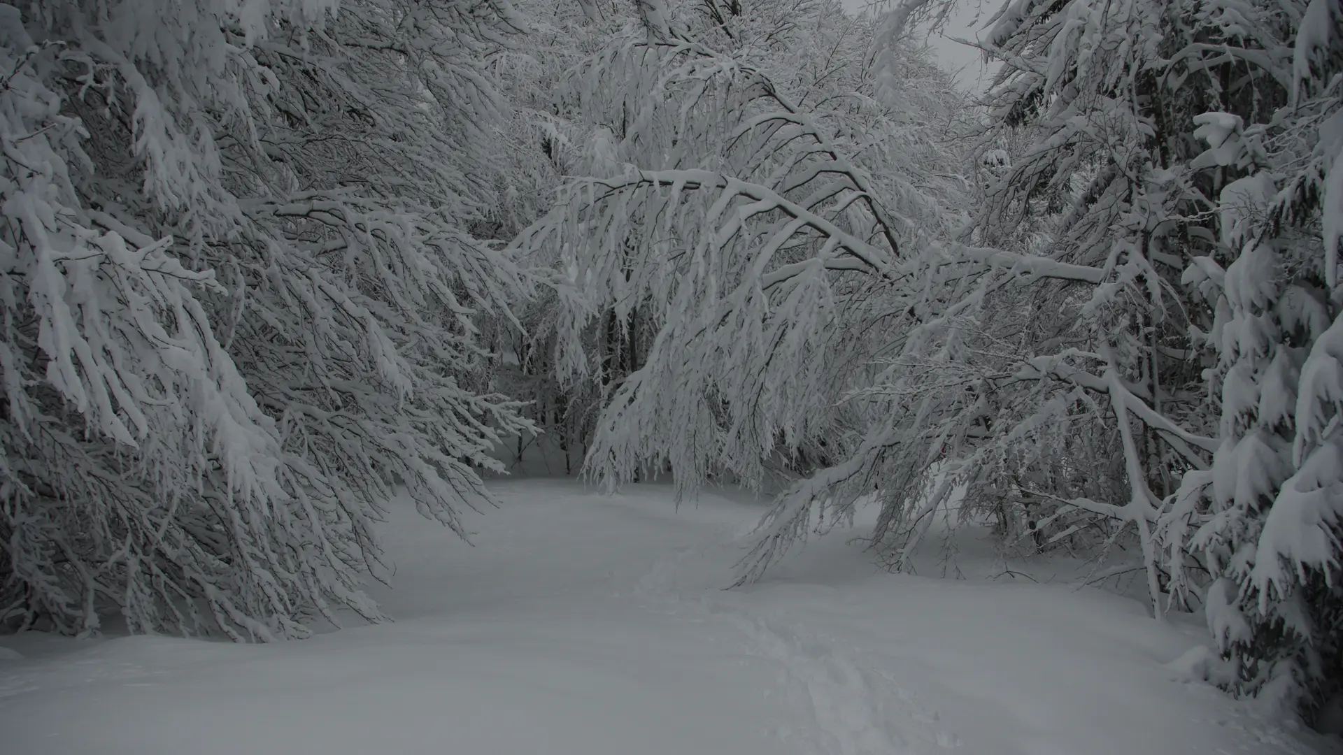 La Ferme des Taillis