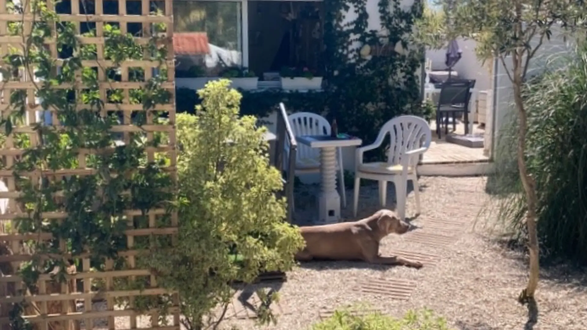 garden