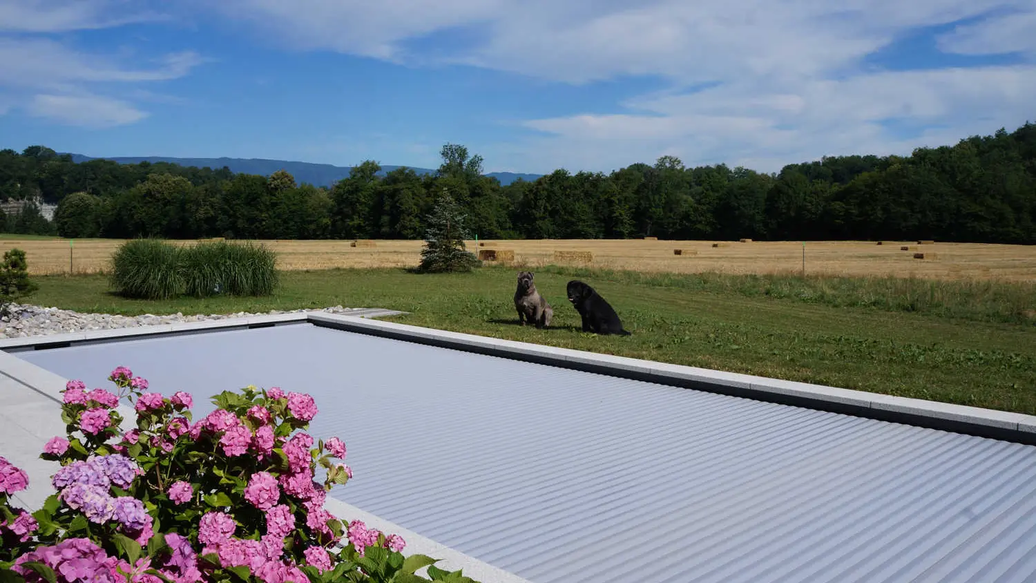 Piscine équipée d'un volet roulant pour la sécurité des enfants.