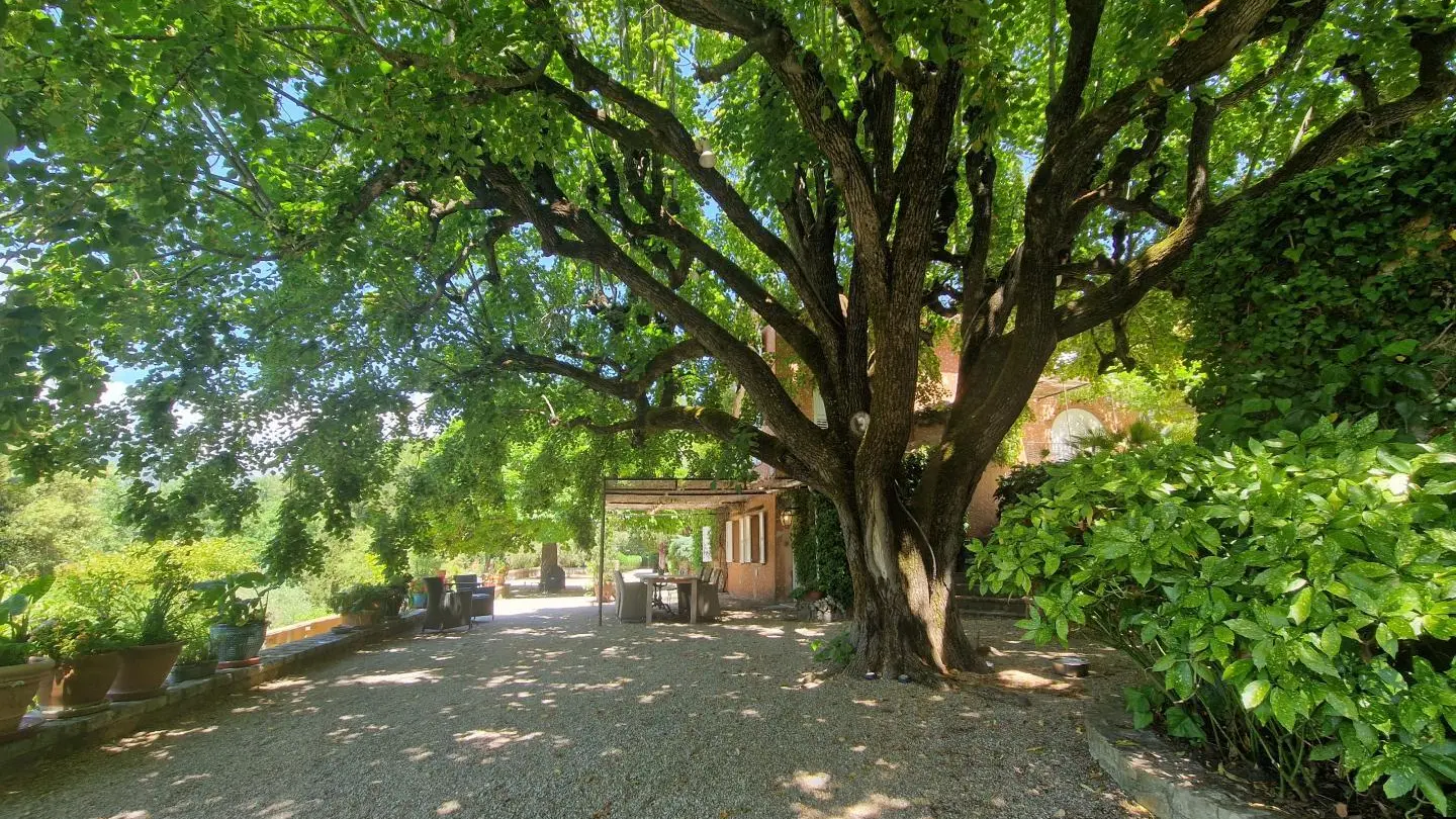 Gîte le Mas du safran-GRASSE- Gîtes de France Alpes-Maritimes