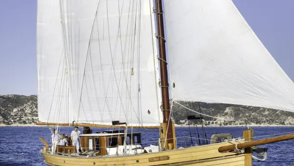 Set Sail – Half-Day Sailing Trip with Bruine Beer