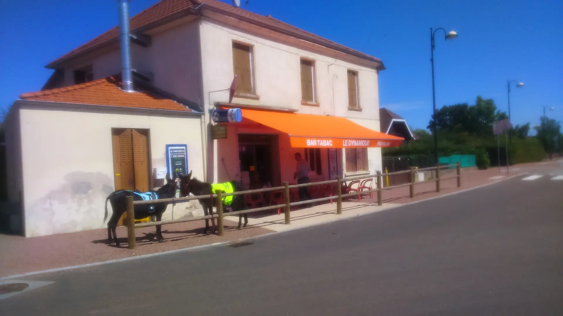 Le Dynamique