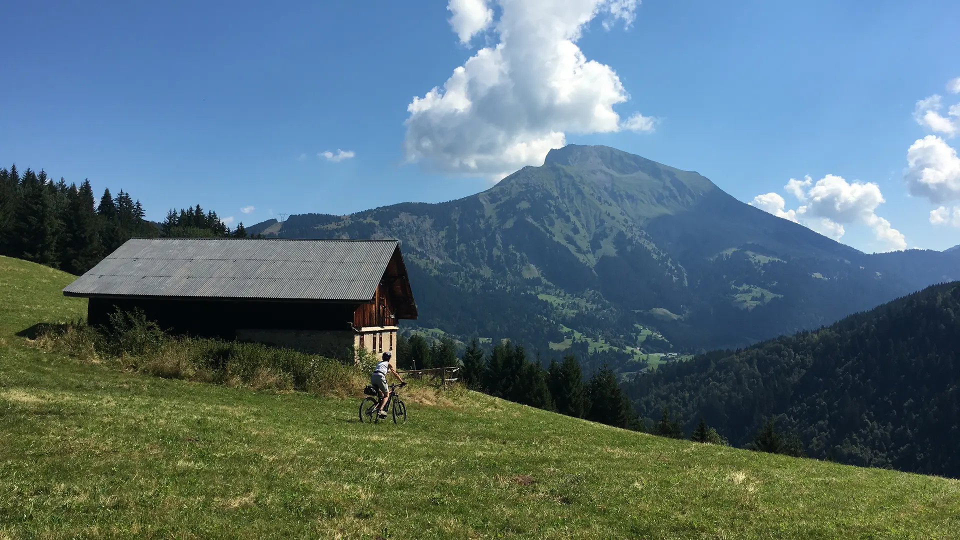 Chalets de l'Essert - Abondance