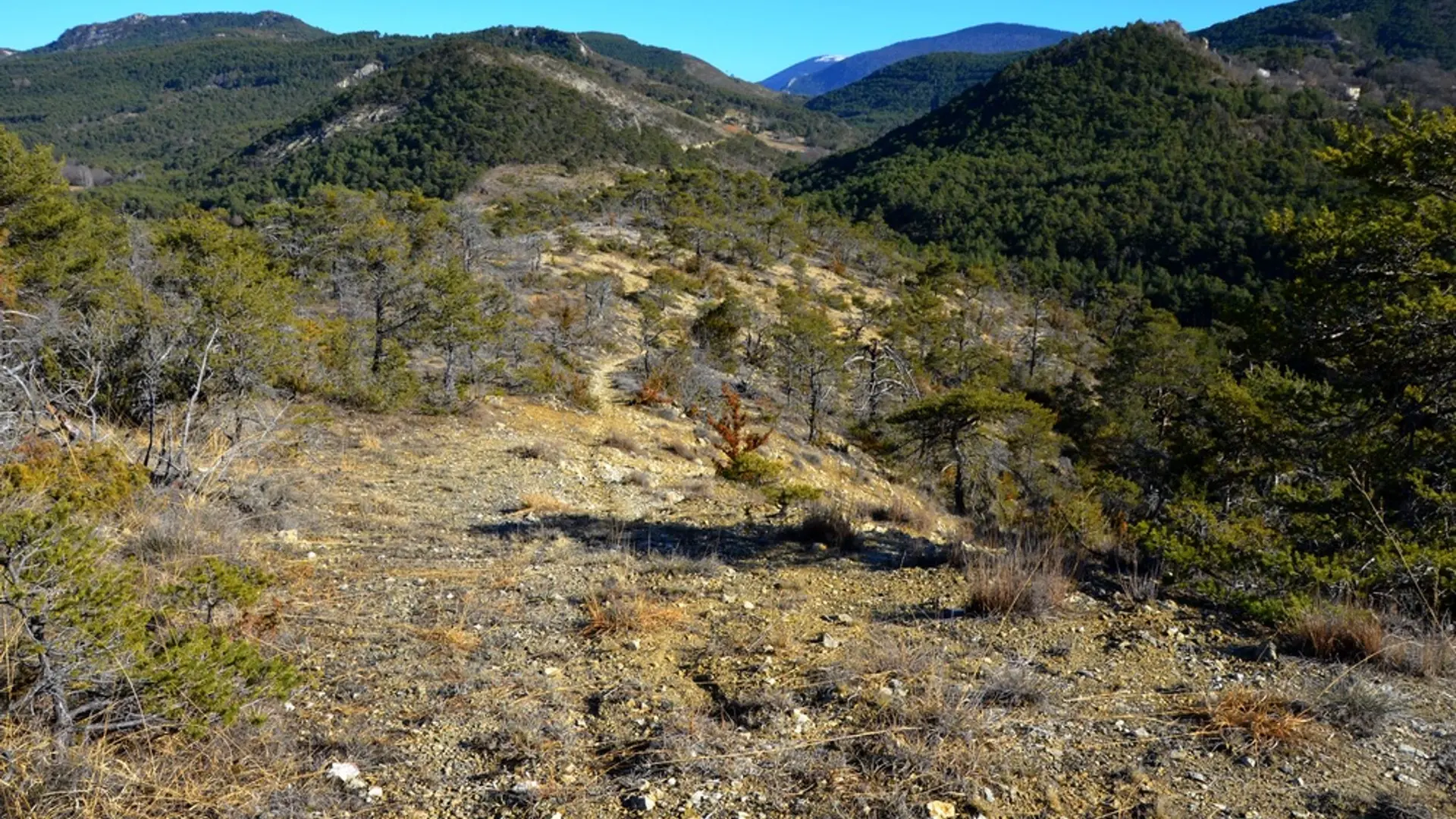 Sur les chemins oubliés