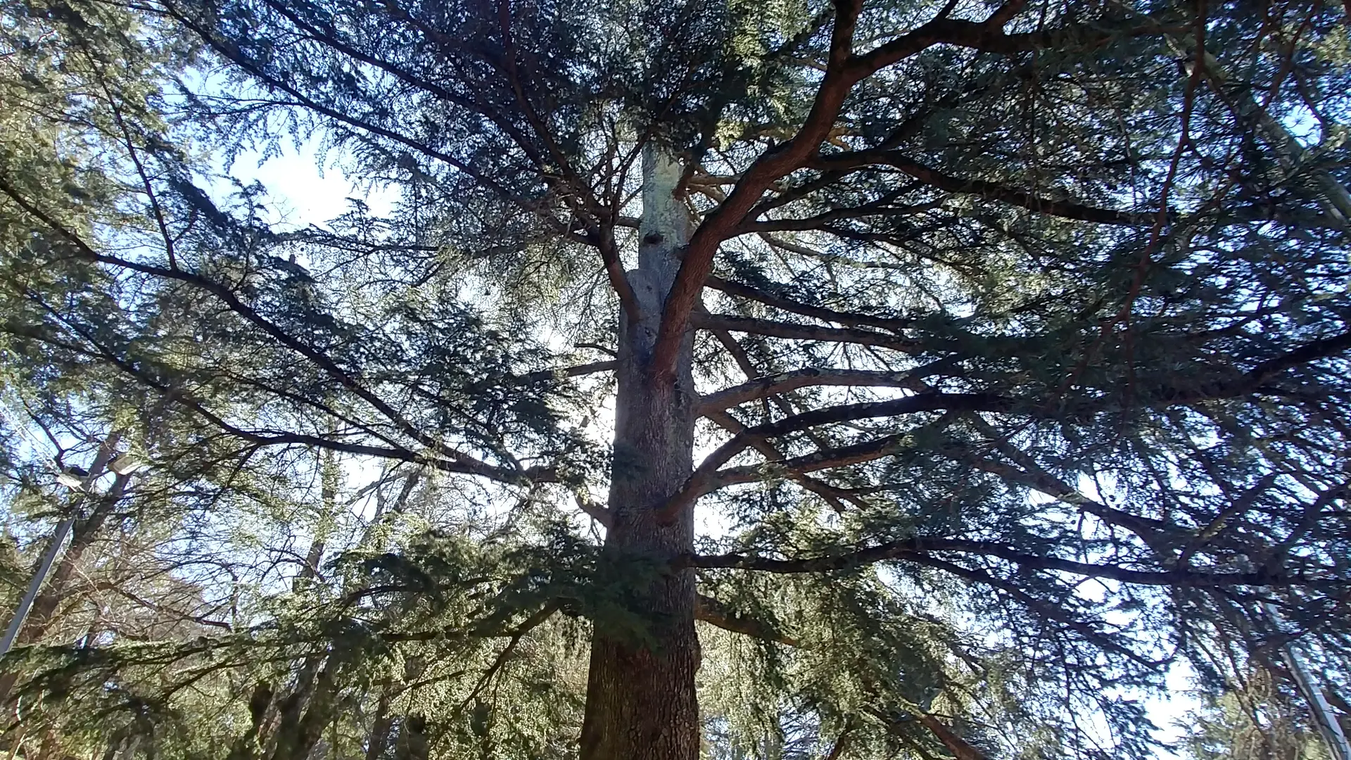 Patrimoine naturel en Méditerranée Porte des Maures