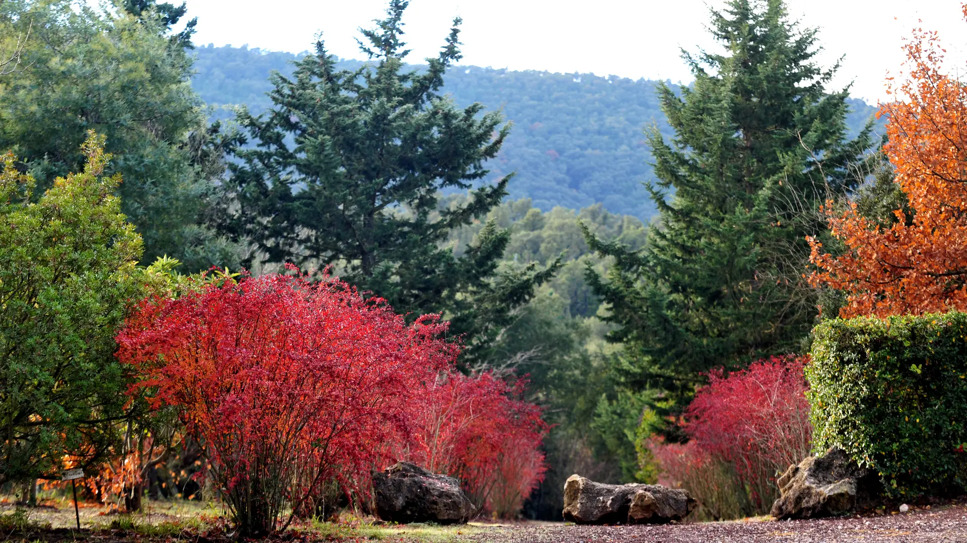 Aire André Luglia de Pierrefeu-du-Var