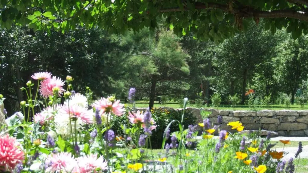 Intérieur camping en été