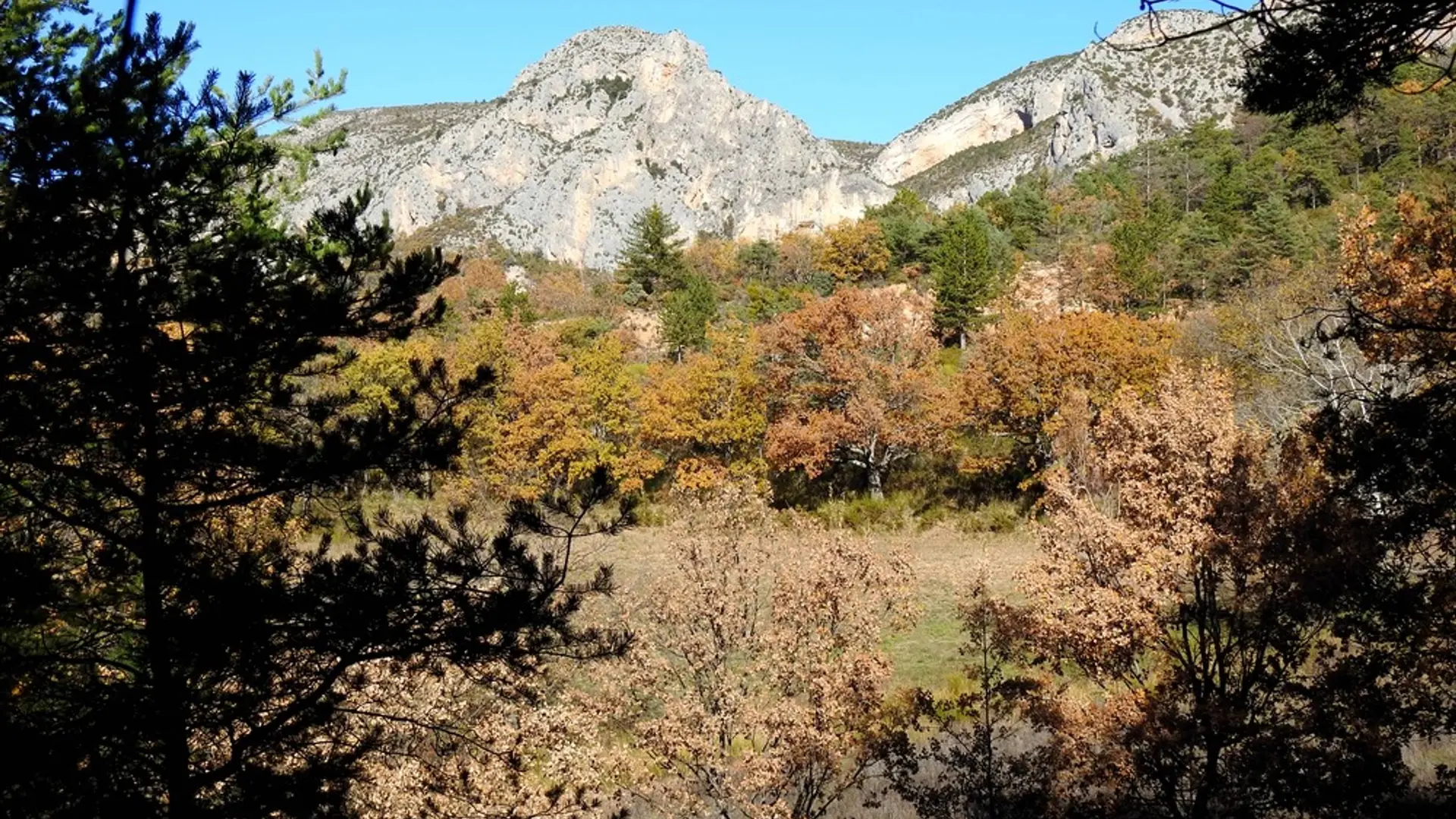 Vue sur les falaises