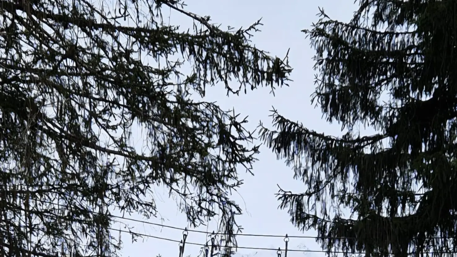 Parcours Aventure 4 saisons_Les Contamines-Montjoie