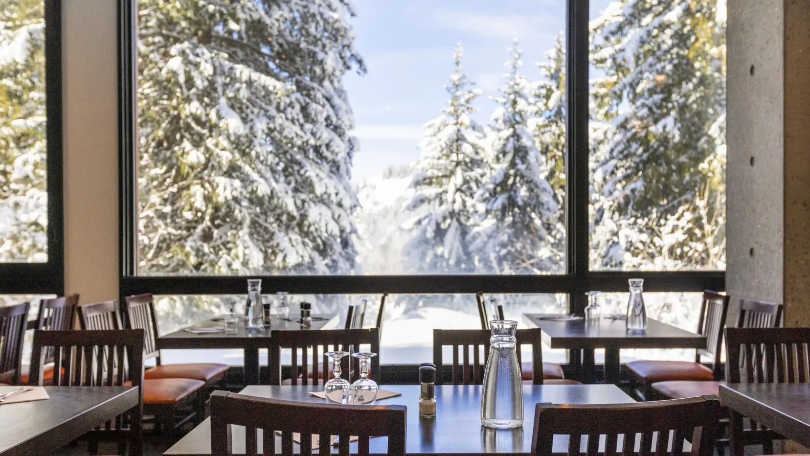 Salle de restauration avec vue sur les sapins