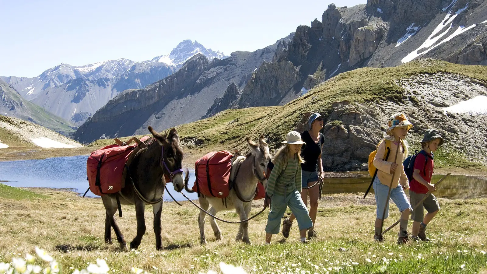 rando avec des ânes
