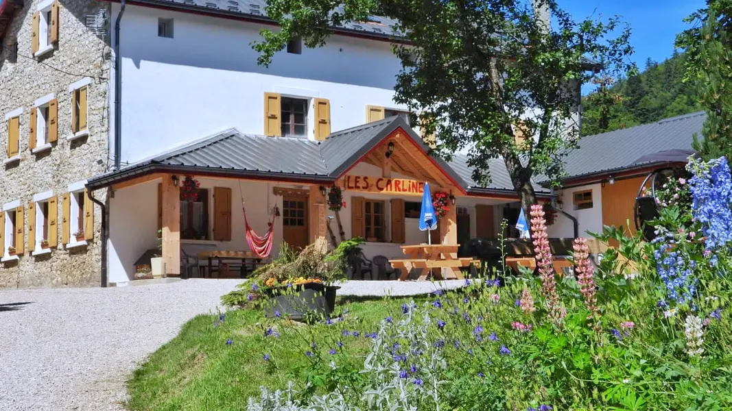 Vue du Gîte les Carlines entouré de forêt