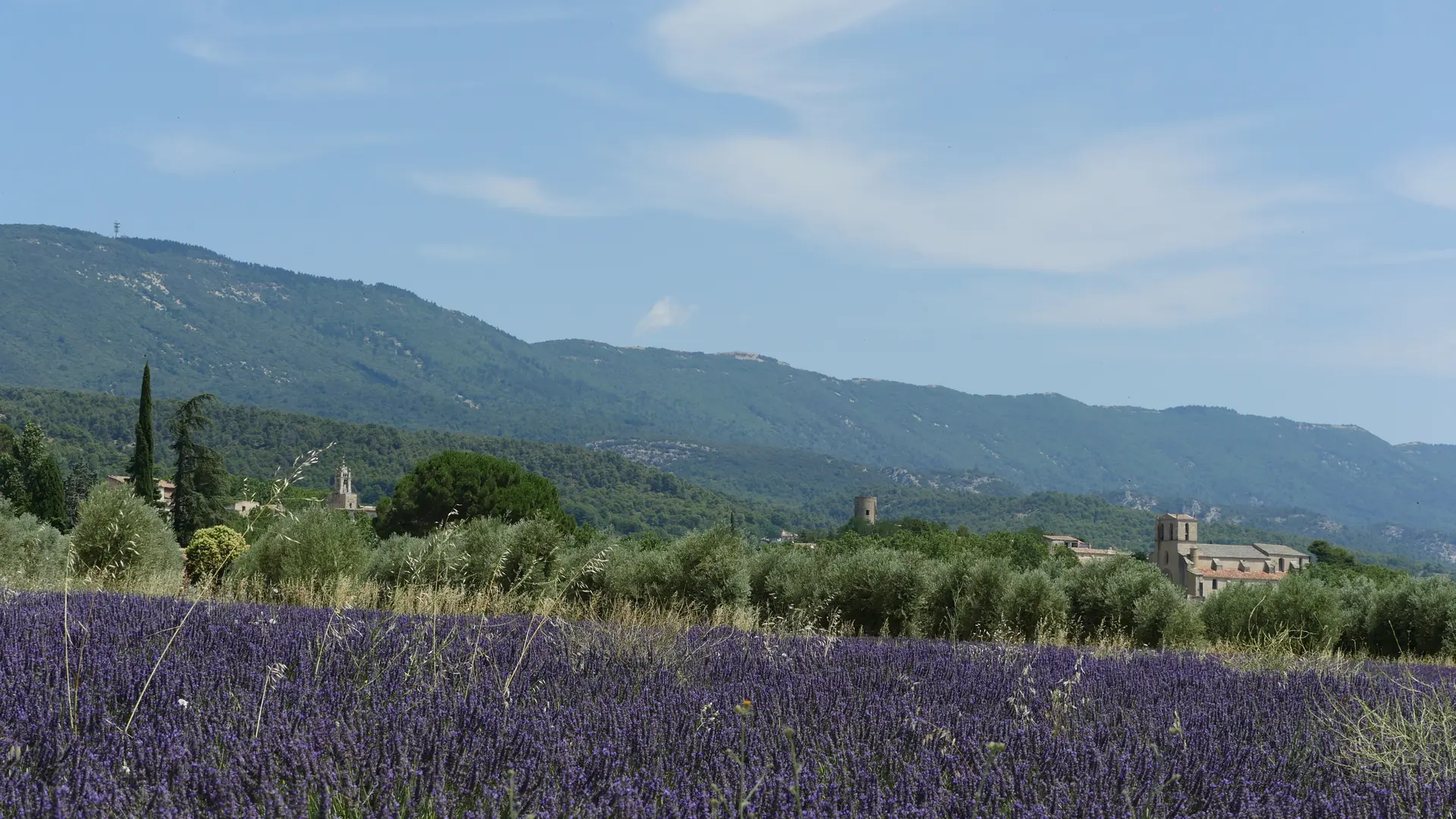 La Provence en Bouteille