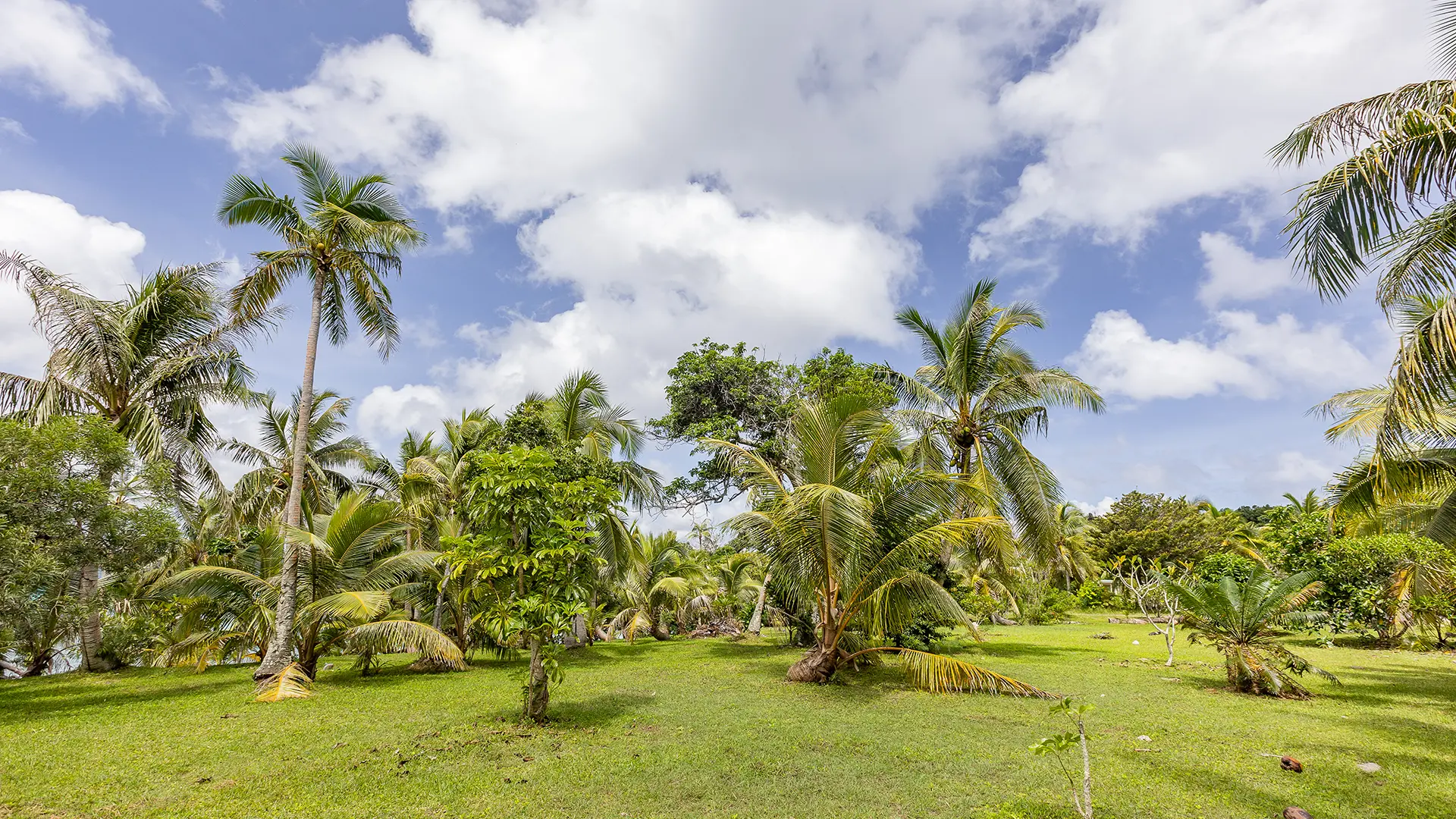 Seaside garden