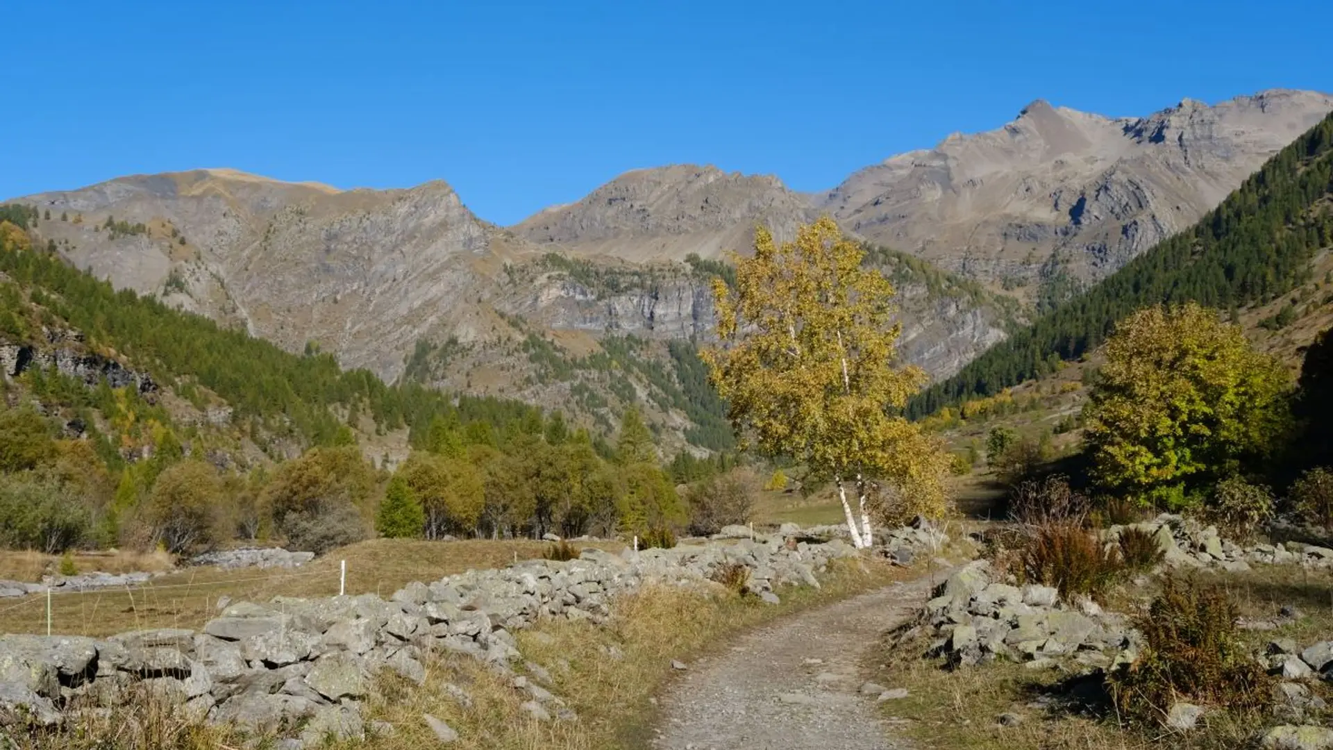 Plateau de Charnière en automne