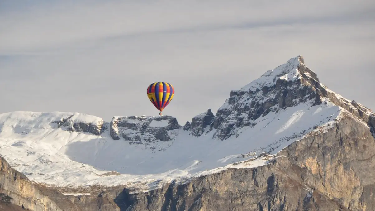Surprendre un drôle d'oiseau de la fenêtre de Talitha