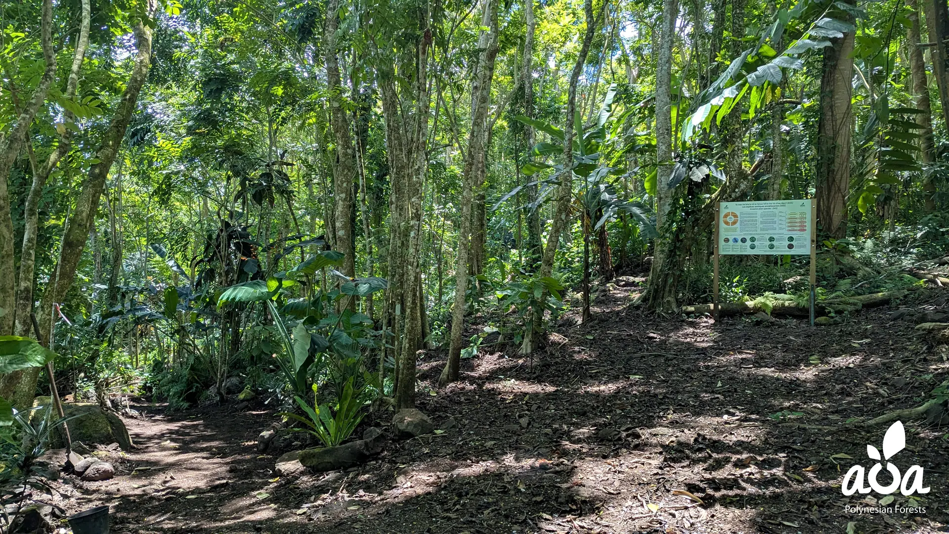 Forêt éducative