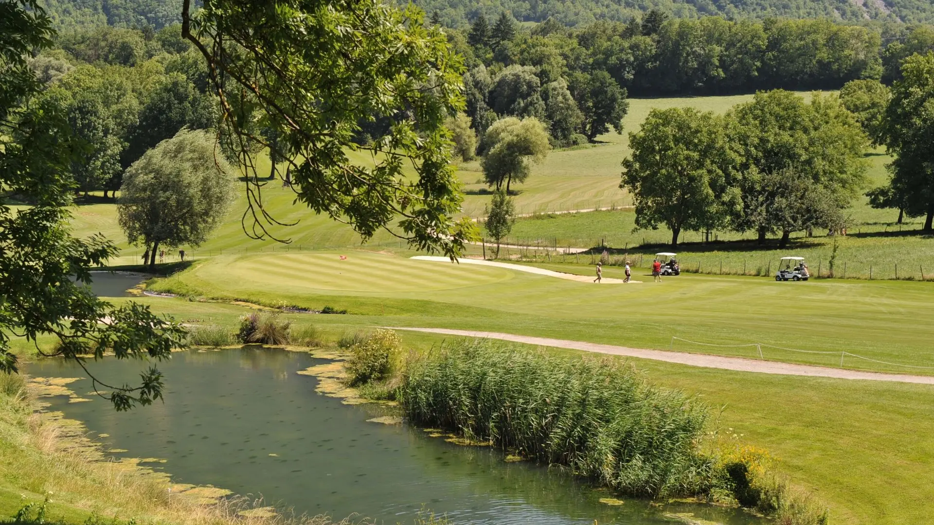 étang et arbres court de golf