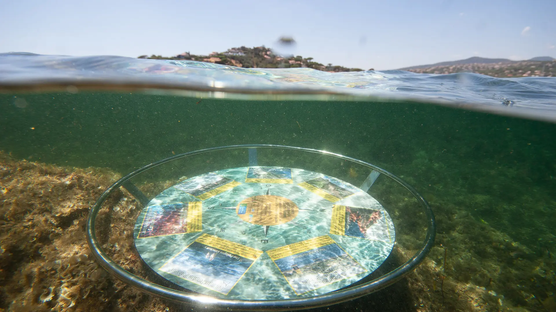 Balade aquatique à la Pointe des Sardinaux
