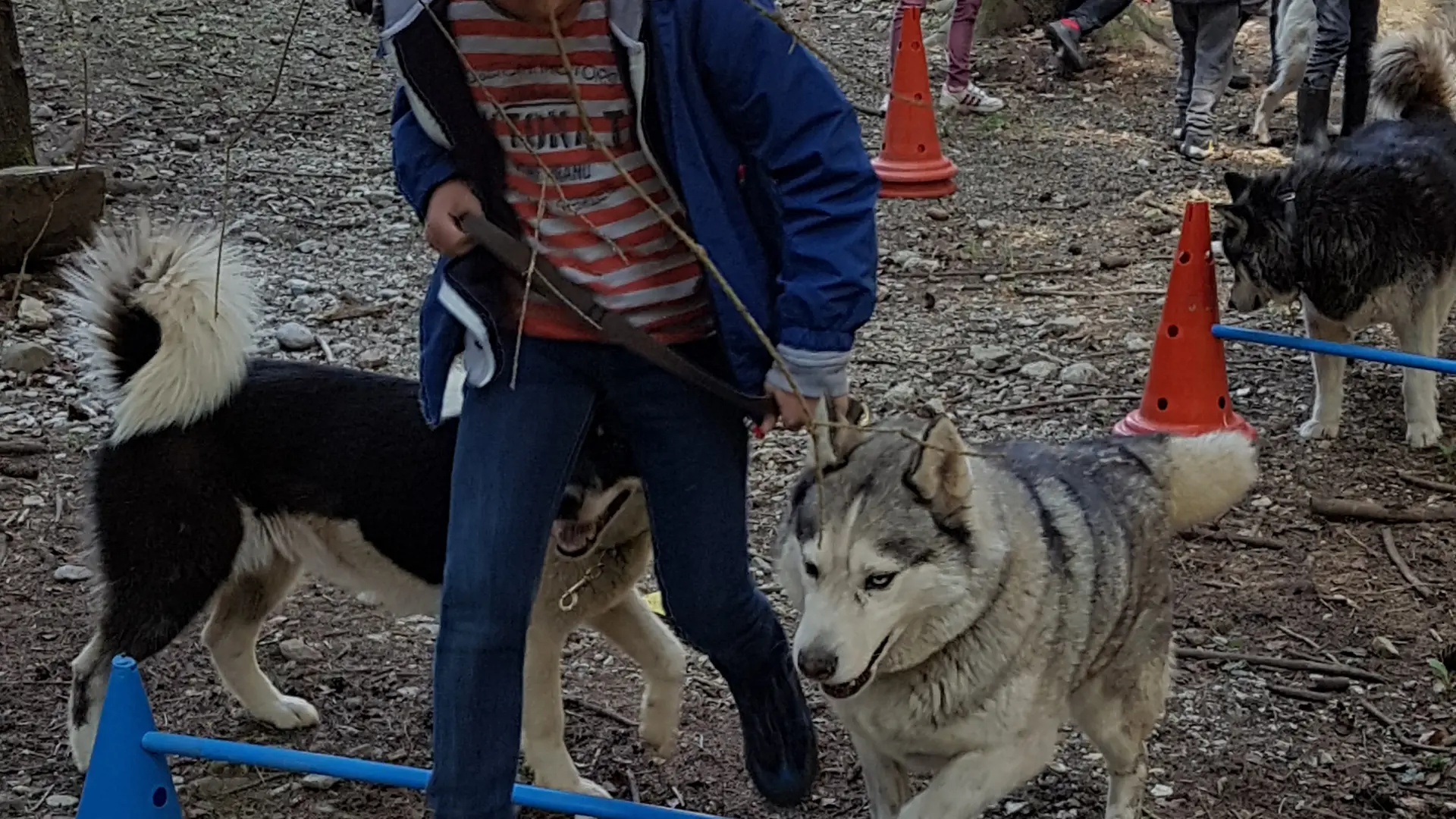 Les Ateliers du Parc Nordique - Agilty