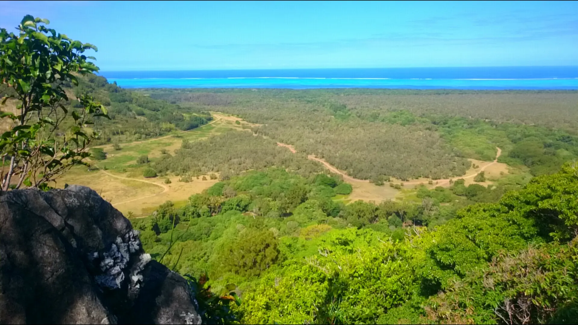 Point de vue